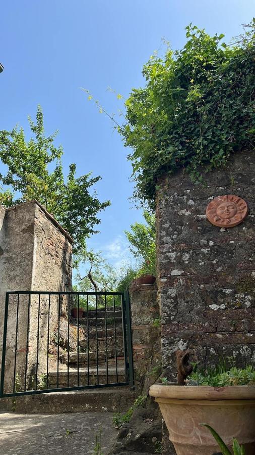 Casina Orione Lejlighed Montecatini Val di Cecina Eksteriør billede