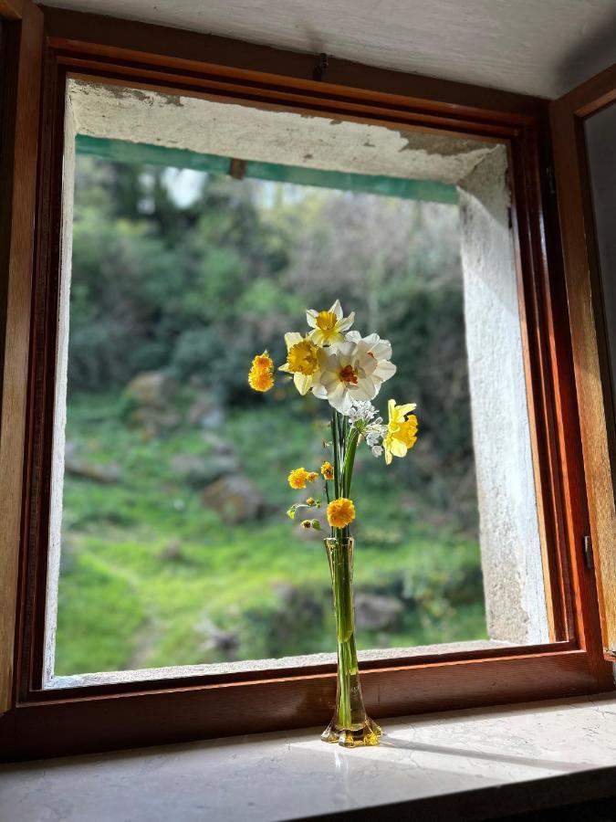 Casina Orione Lejlighed Montecatini Val di Cecina Eksteriør billede