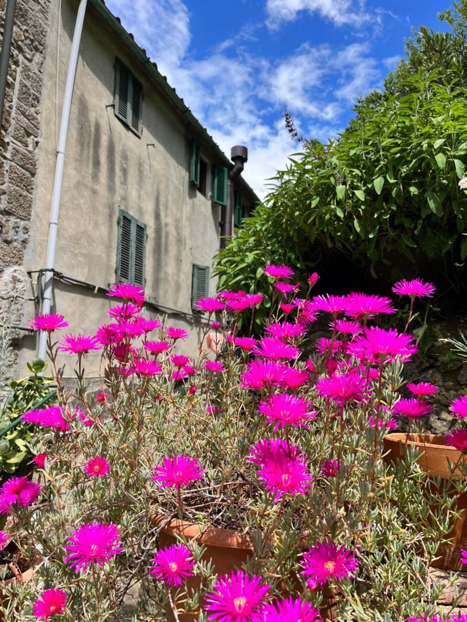 Casina Orione Lejlighed Montecatini Val di Cecina Eksteriør billede